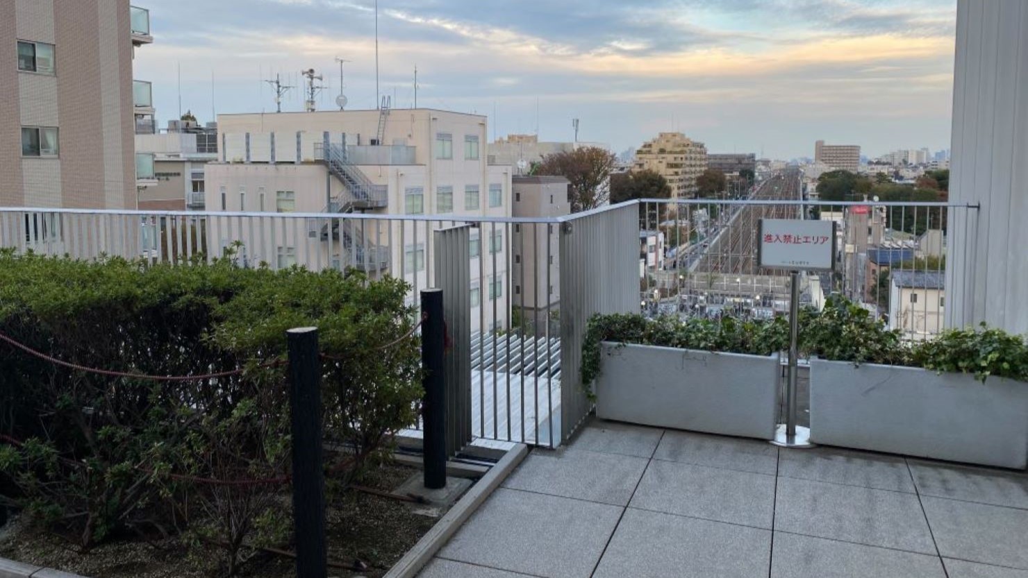 成城コルティ4階「雑木林の丘」