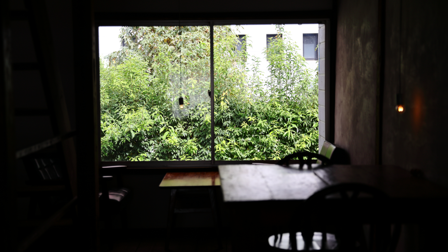 2階の窓からの、溢れる緑に癒される借景の姿