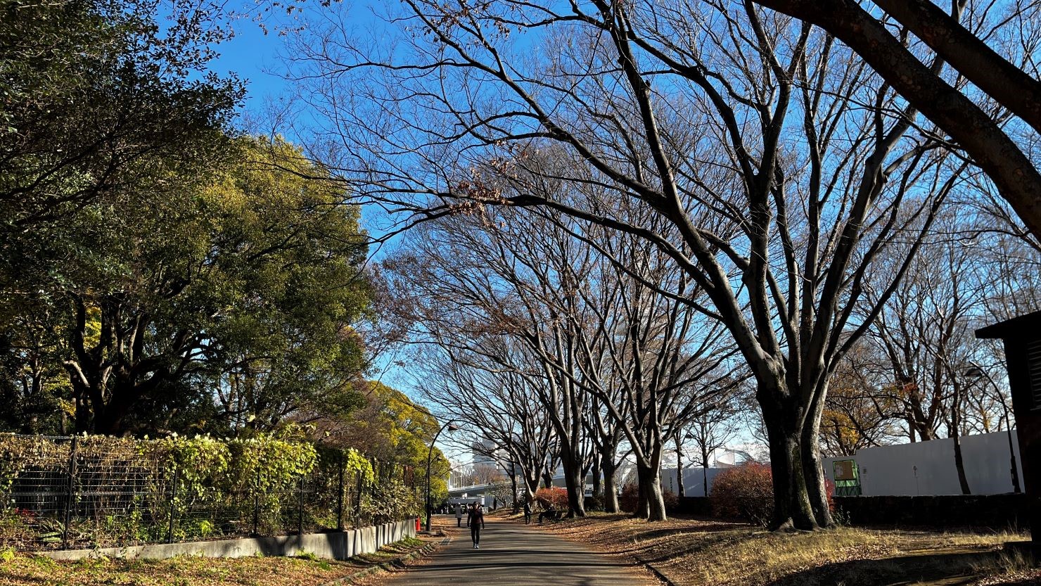 駒沢オリンピック公園