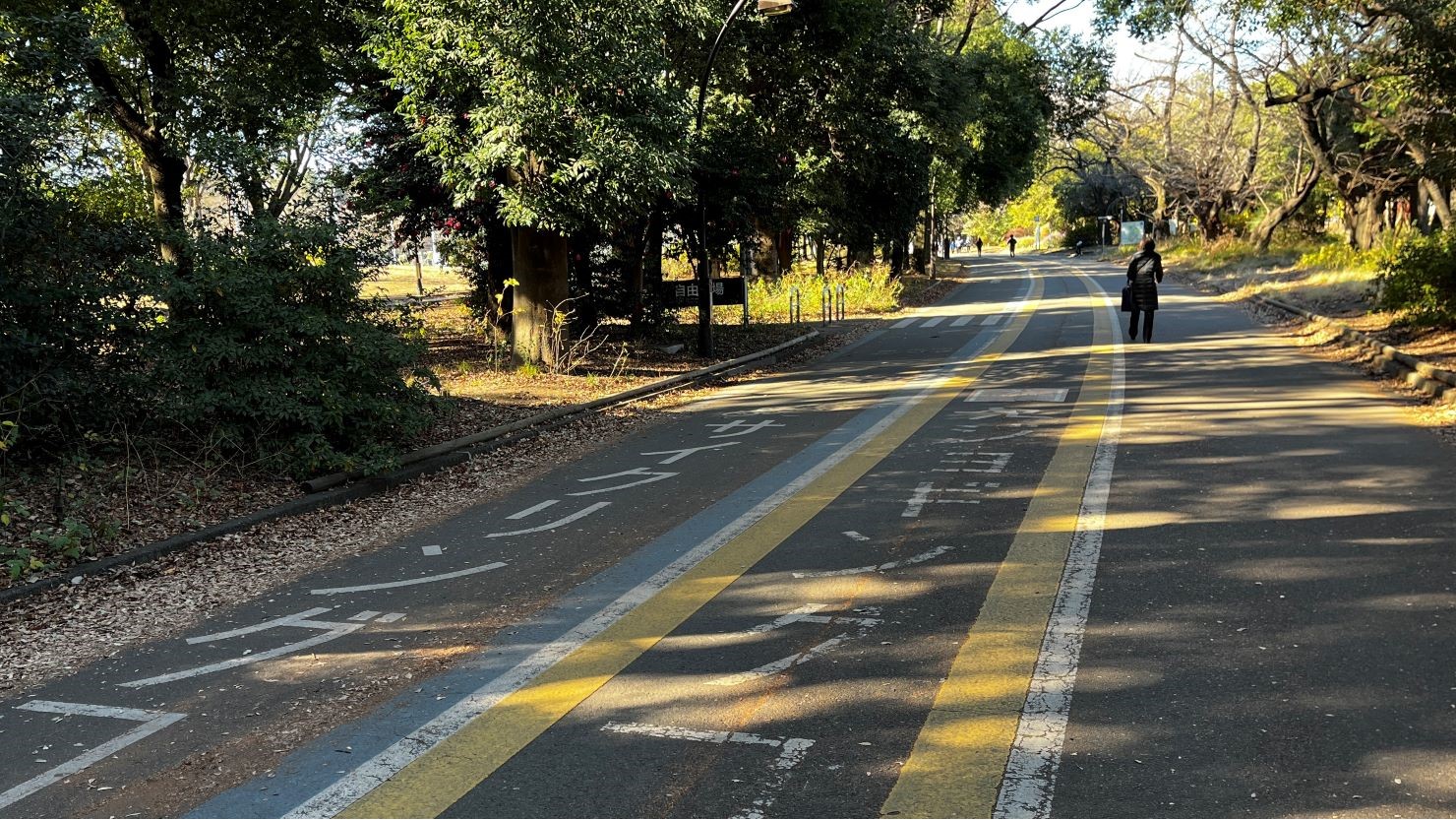 公園内にあるサイクリングコースとジョギングコース
