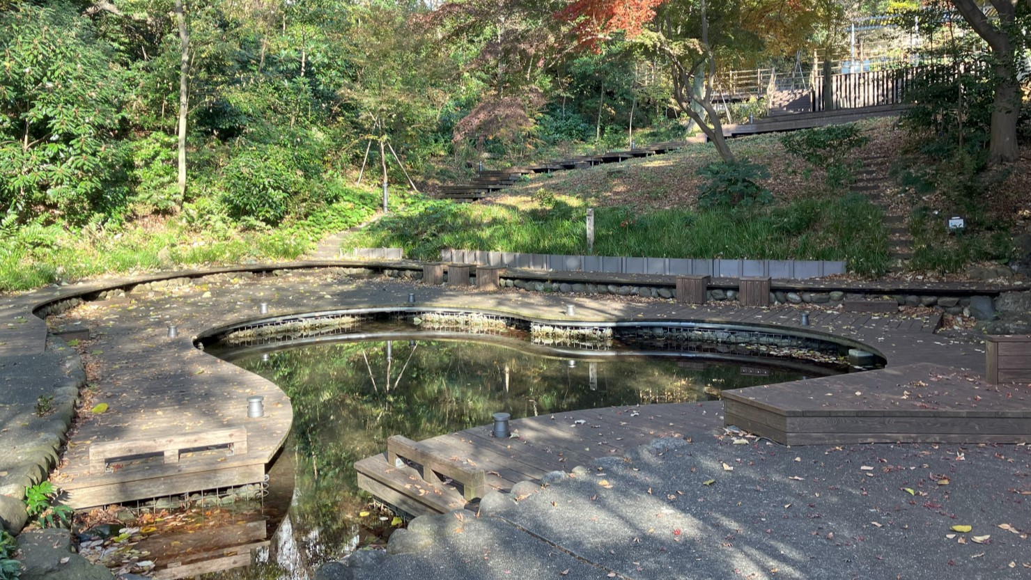 東経の森・新次郎池