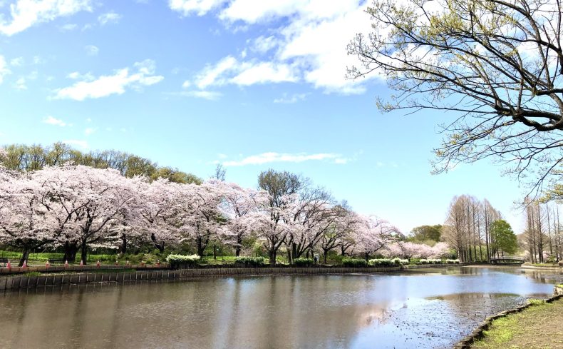 埼玉県「上尾市」の住みやすさは？便利で子育て環境も充実した住宅都市の魅力を紹介