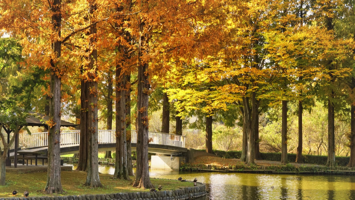 埼玉県上尾市丸山公園