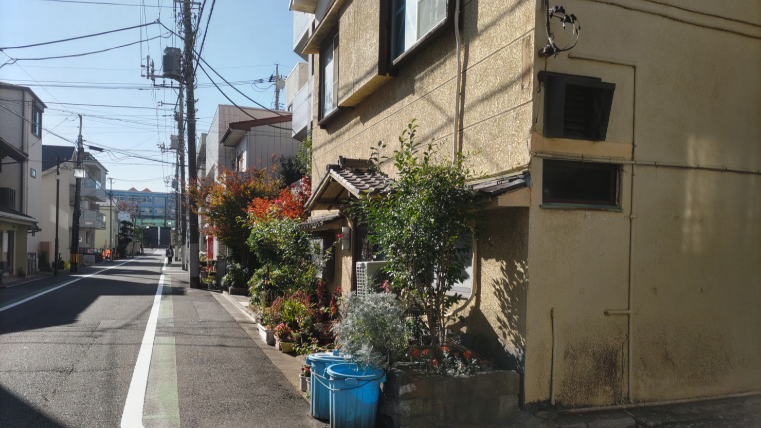 本一通りの住宅街