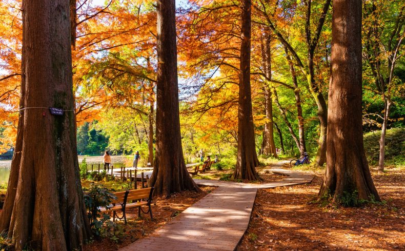 東京都「練馬区」での子育て体験談。子育て支援が充実している練馬区の魅力とは