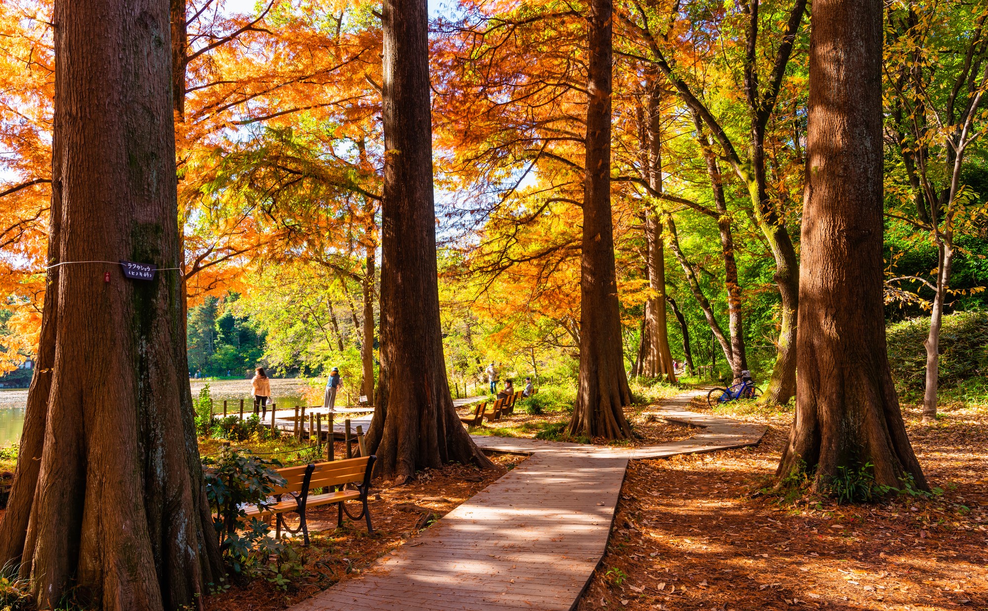 東京都「練馬区」での子育て体験談。子育て支援が充実している練馬区の魅力とは