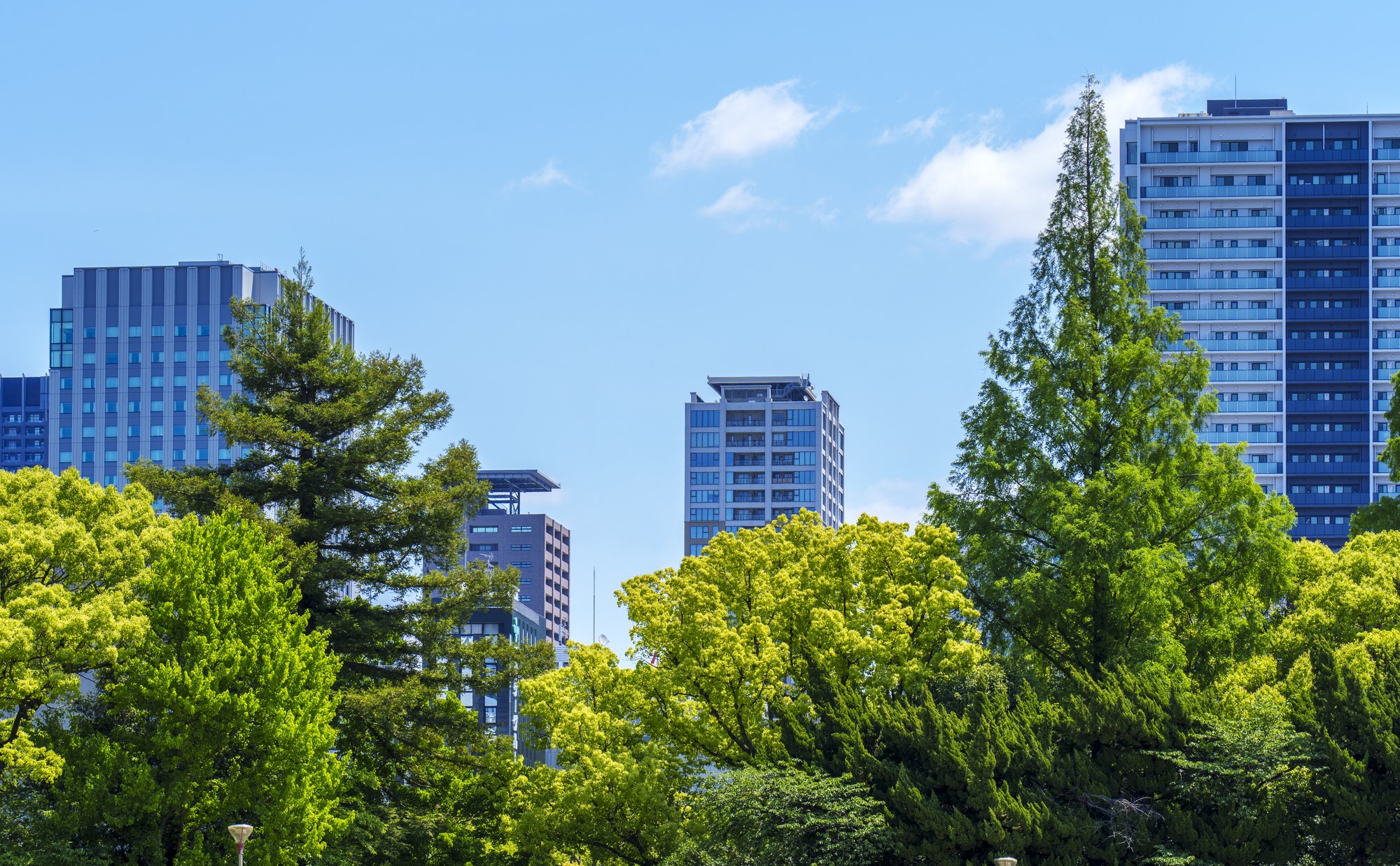 おしゃれな町、大阪市西区「京町堀」の住みやすさは？街の特徴と魅力をご紹介