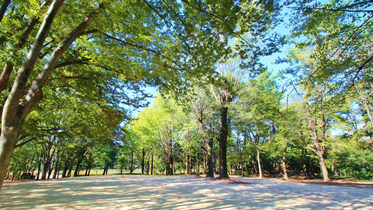 与野公園