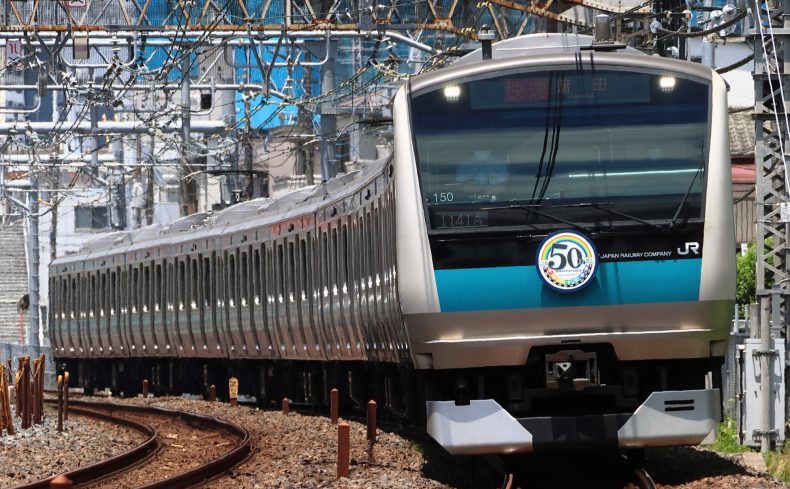 「JR根岸線」沿線の住みやすさは？沿線に25年住む私が各駅の魅力や穴場駅を紹介