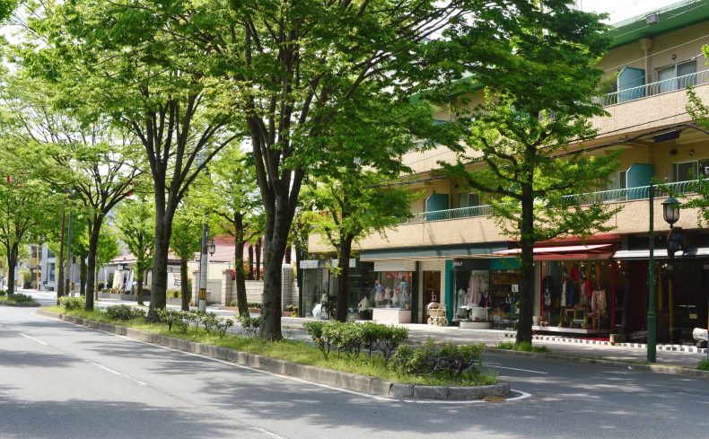 京都市北区「北山駅」周辺の住みやすさは？大阪市から移り住んだ私が徹底解説