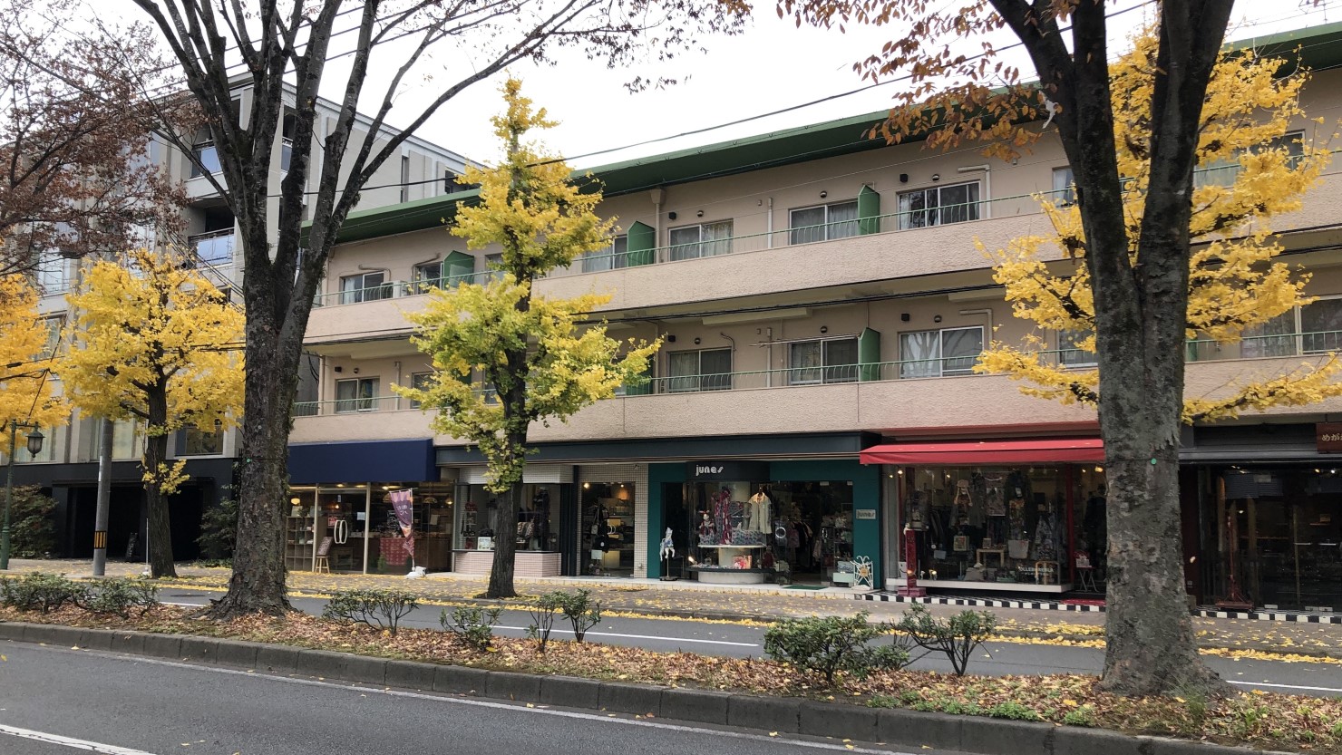 おしゃれなお店が立ち並ぶ北山街