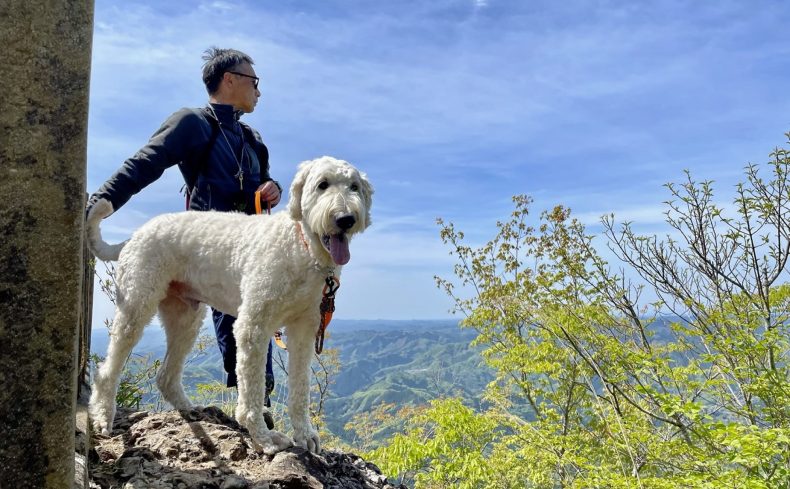 手軽・ツツジ・絶景の三拍子揃った低山 奥久慈男体山（茨城県）に登ろう！～第13回 犬と週末登山の体験記～