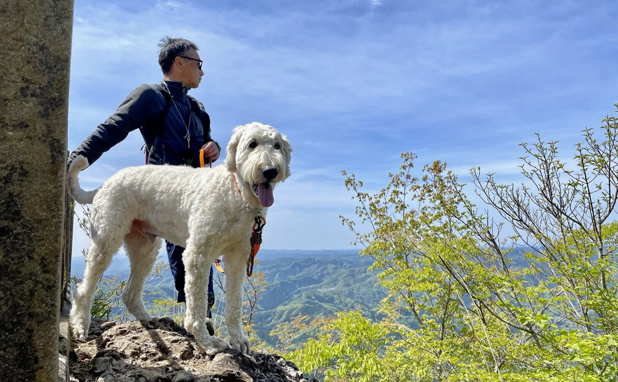 手軽・ツツジ・絶景の三拍子揃った低山 奥久慈男体山（茨城県