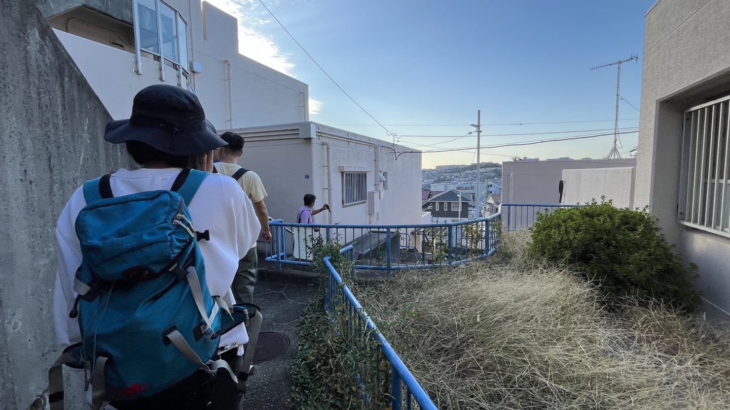 いろいろなところに階段が点在しており、まさに高台のラビリンス