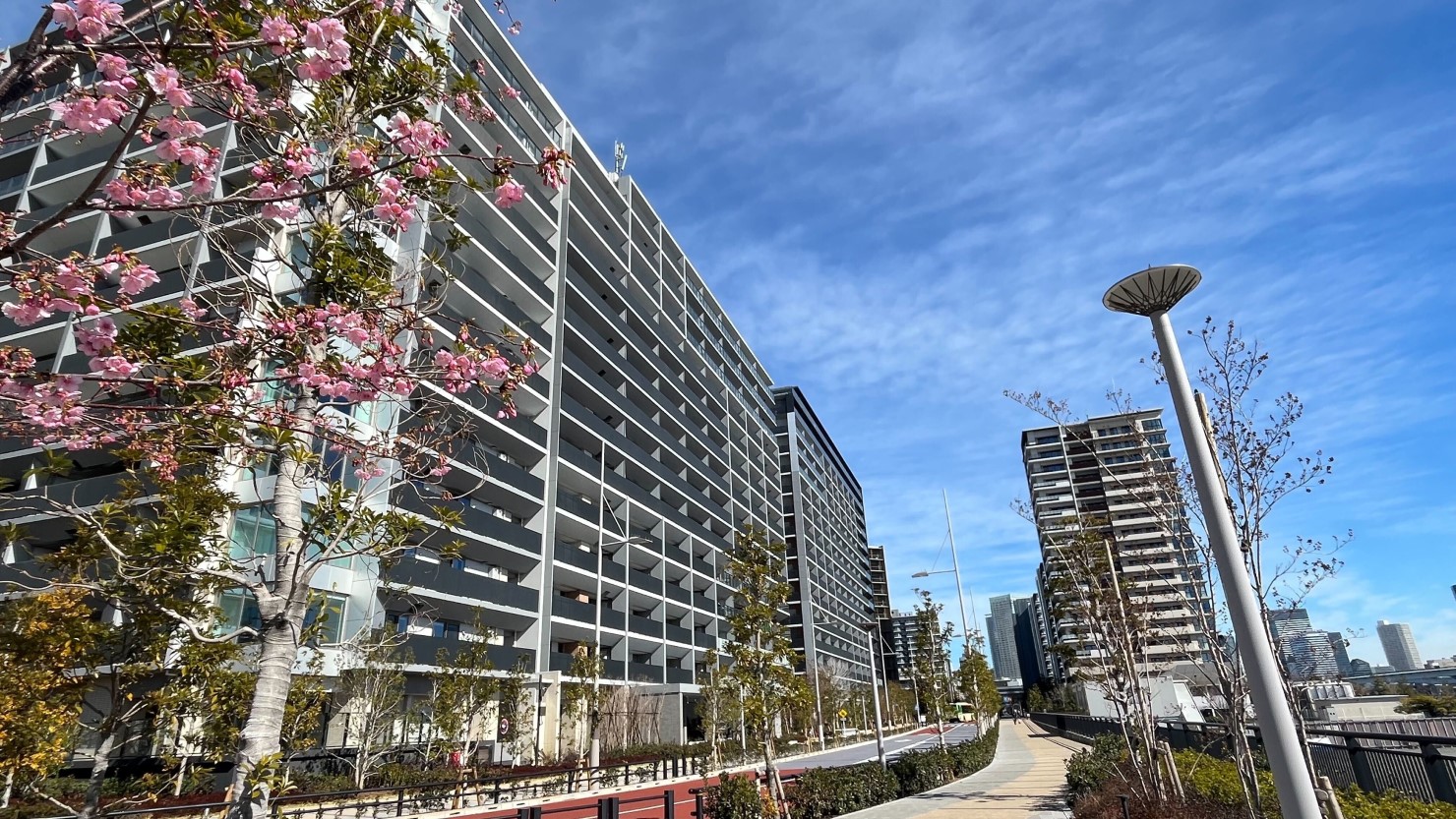 晴海ふ頭公園から停留所までは約2～3分。街灯もある広い道を進む