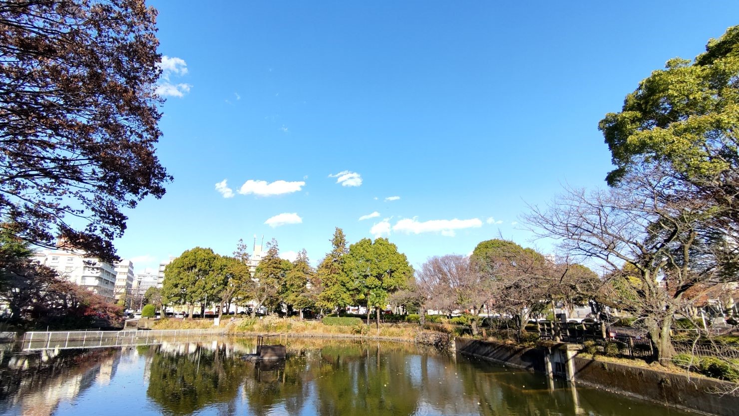 鹿沼公園の「白鳥池」　© カップラーメンとおにぎり