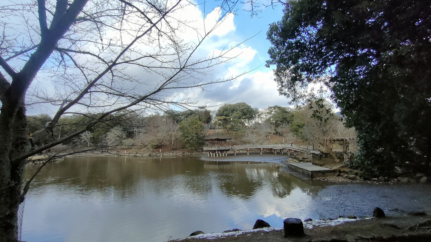 奈良公園内鷺池に浮かぶ浮見堂