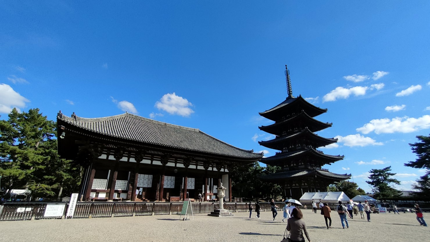 興福寺　東金堂と五重塔