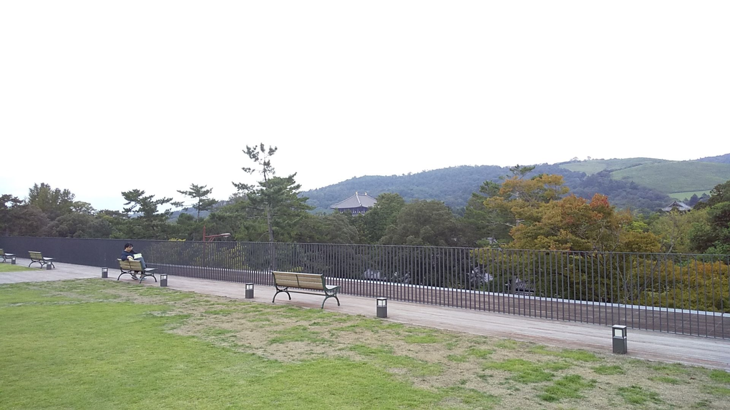 奈良公園バスターミナル 屋上庭園から東方面・東大寺大仏殿をのぞむ