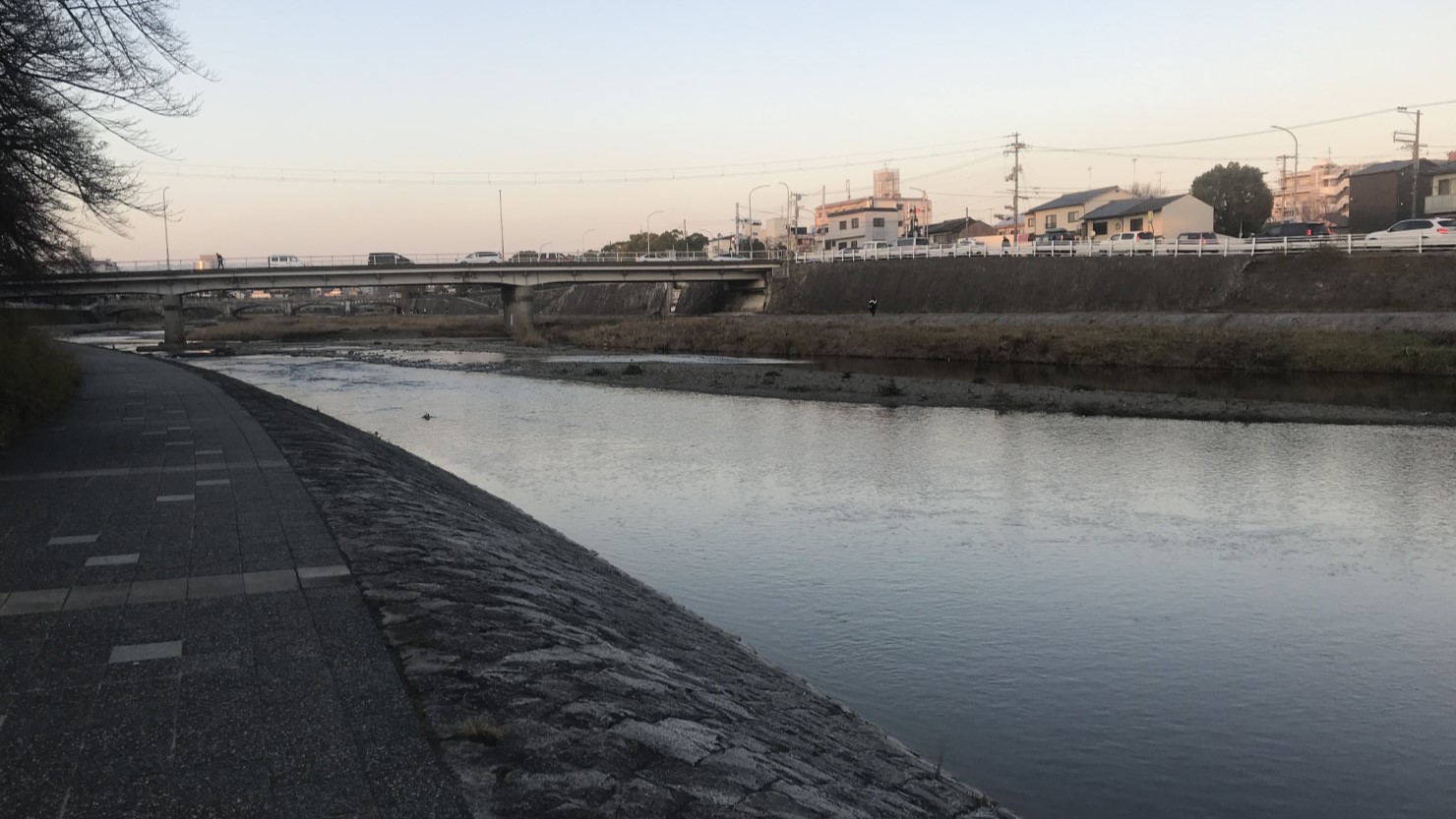 自然が豊かな鴨川。奥に見えるのは「塩小路橋」