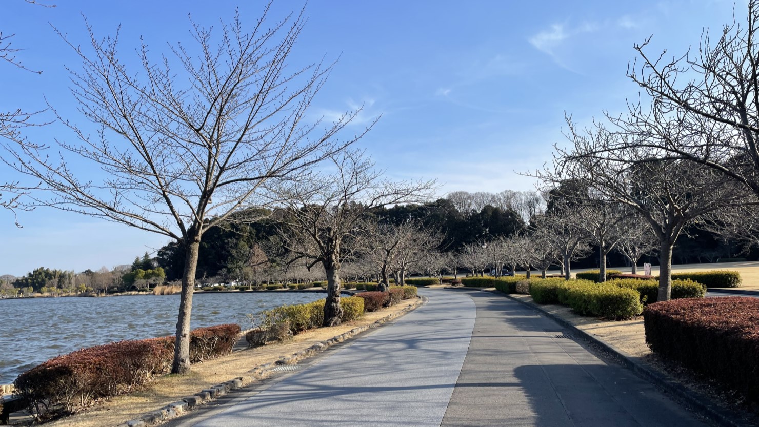 千波湖のウォーキングコース