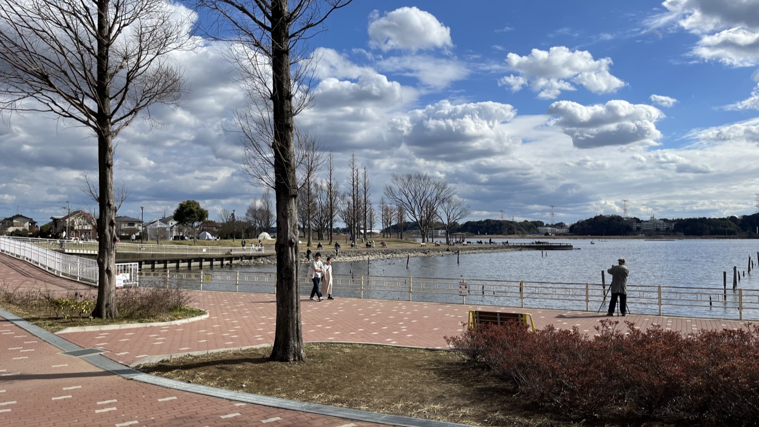 手賀沼公園内