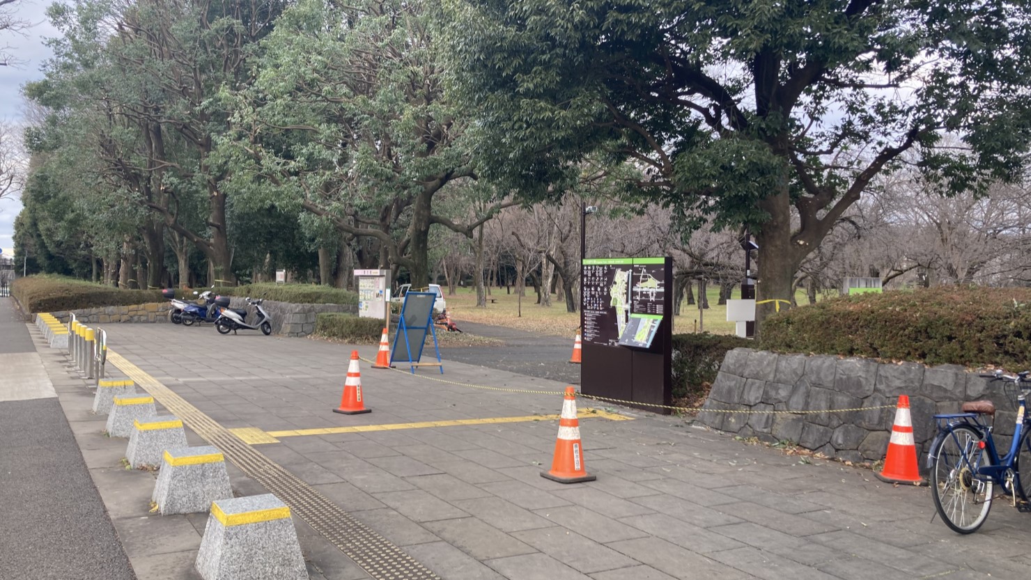 自然豊かな小金井公園の入り口