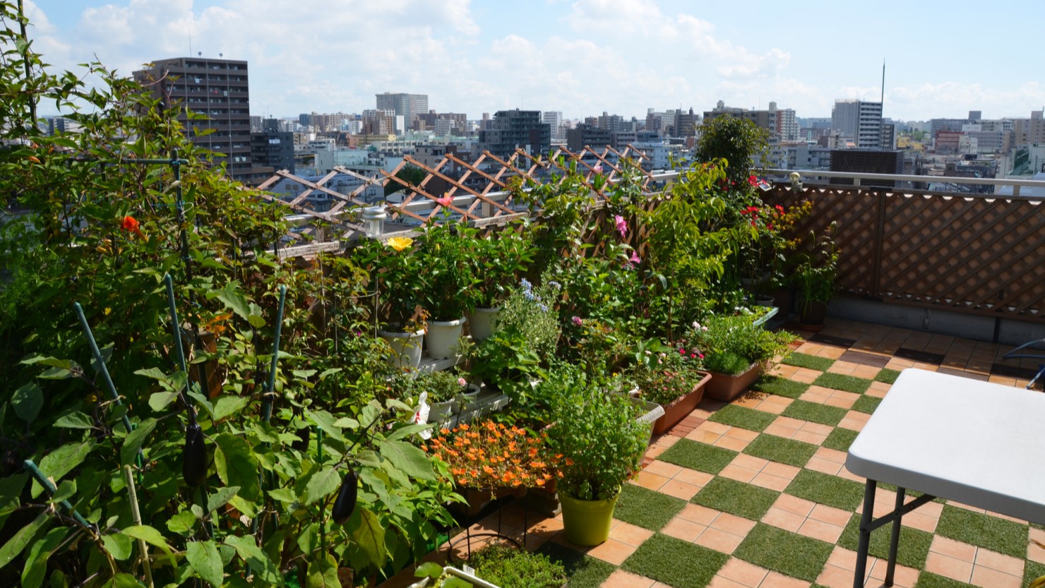 ルーフバルコニーのある住まい