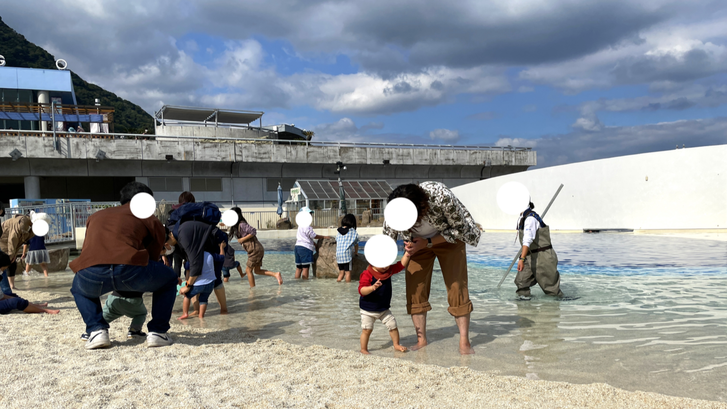 うみたまごにある「あそびーち」で楽しく生き物と触れ合う親子