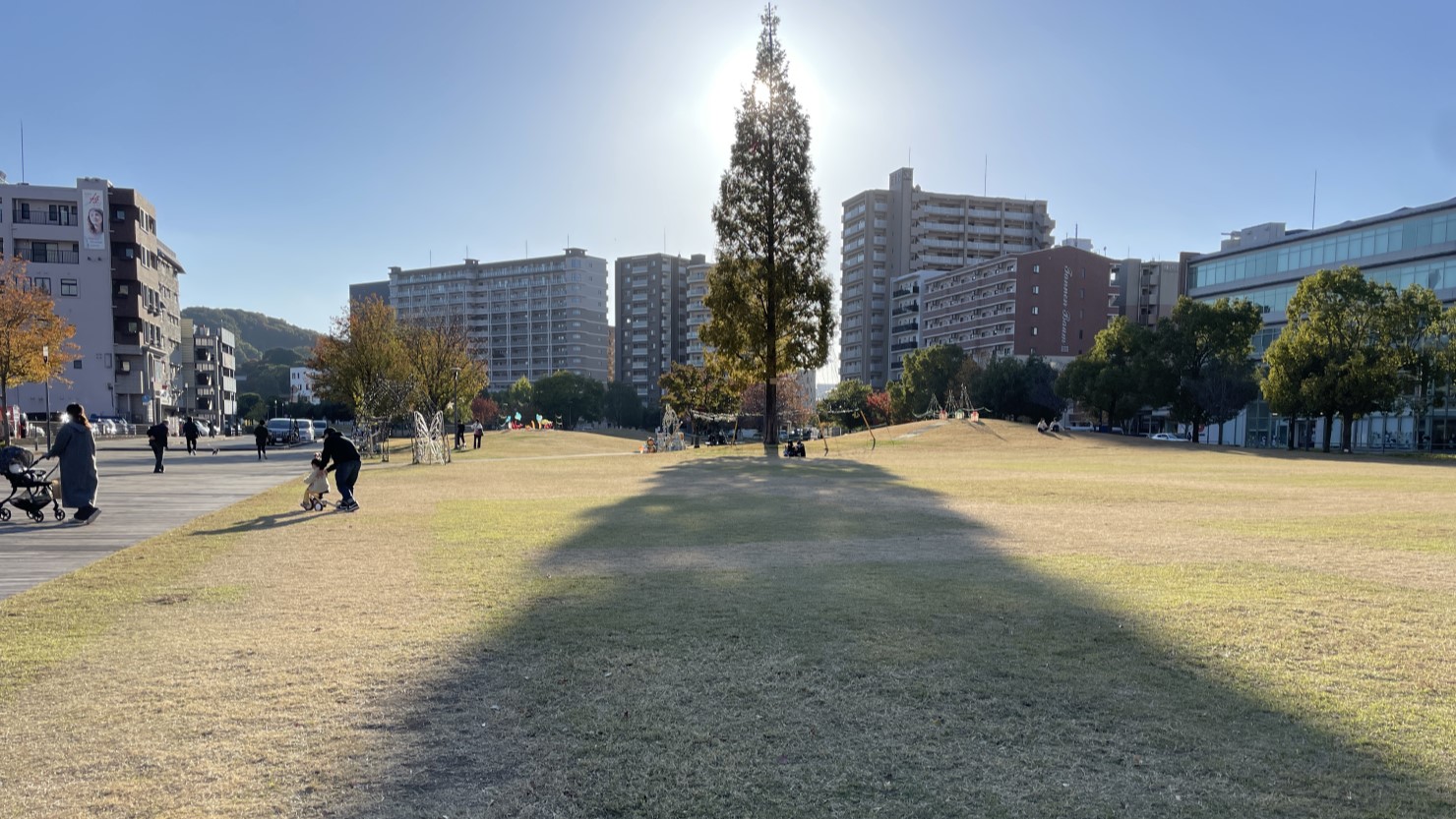 芝生が広がる「大分いこいの道広場」