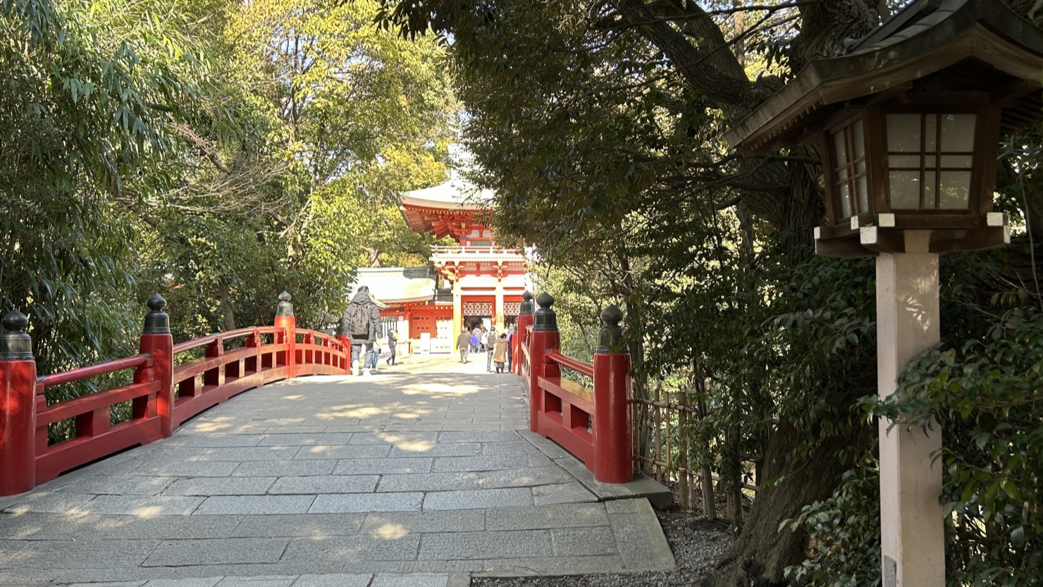 緑豊かな氷川神社境内