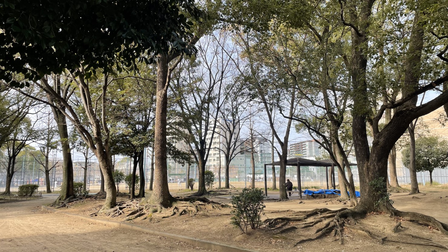 磯路中央公園