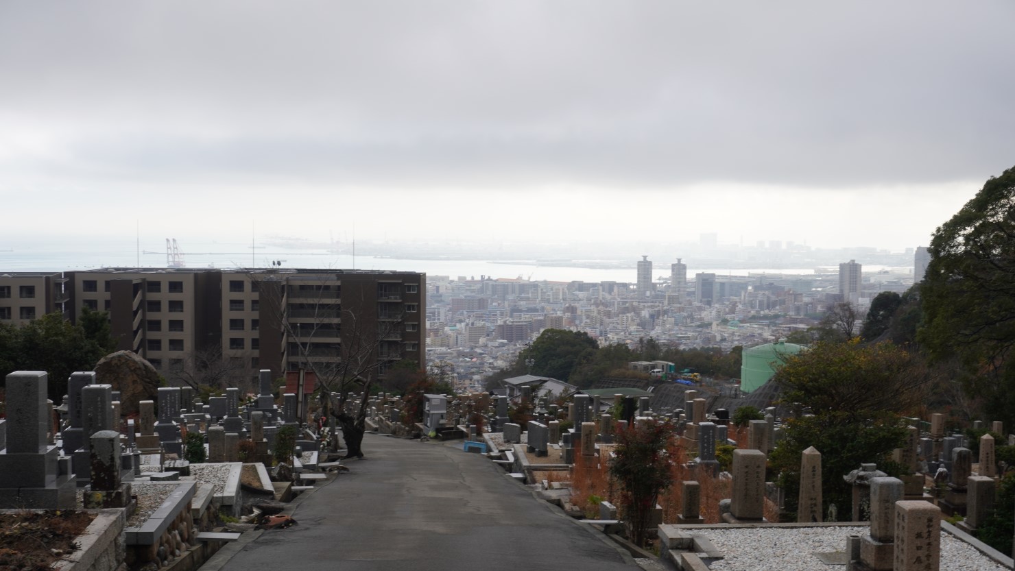 振り返るとこの絶景。ドラマ「たとえあなたを忘れても」のロケ地にもなっている