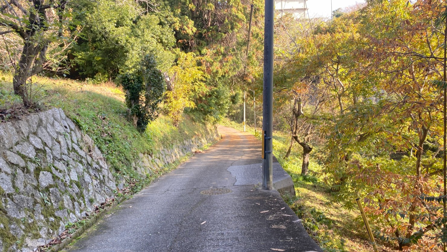 内海さんに撮影していただいた近所の道。街灯も少ないため夜は真っ暗で静か。現在は感覚が麻痺してまったく不便を感じない