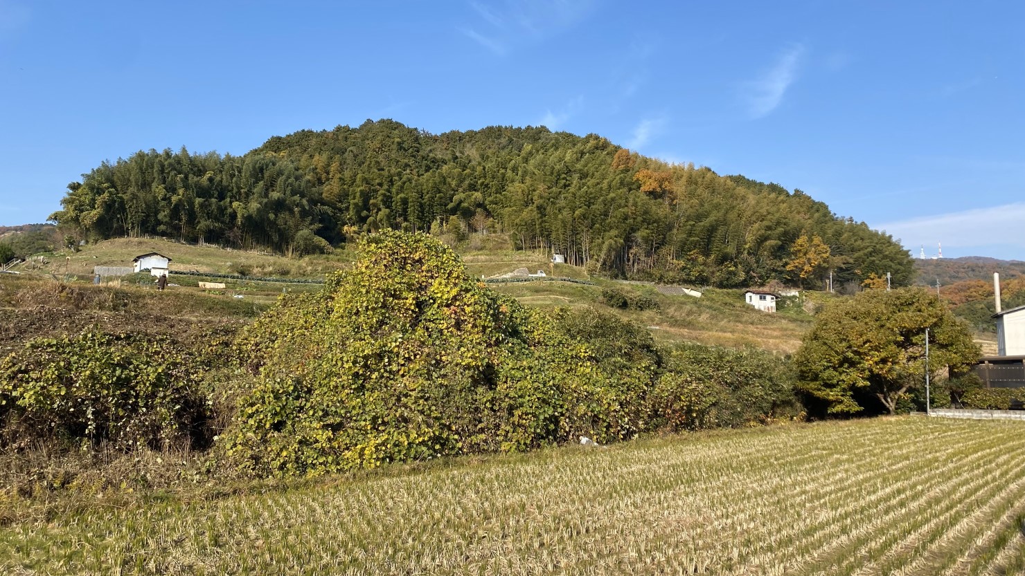 近所の自然環境。都会では気づきにくい変化にも敏感に。