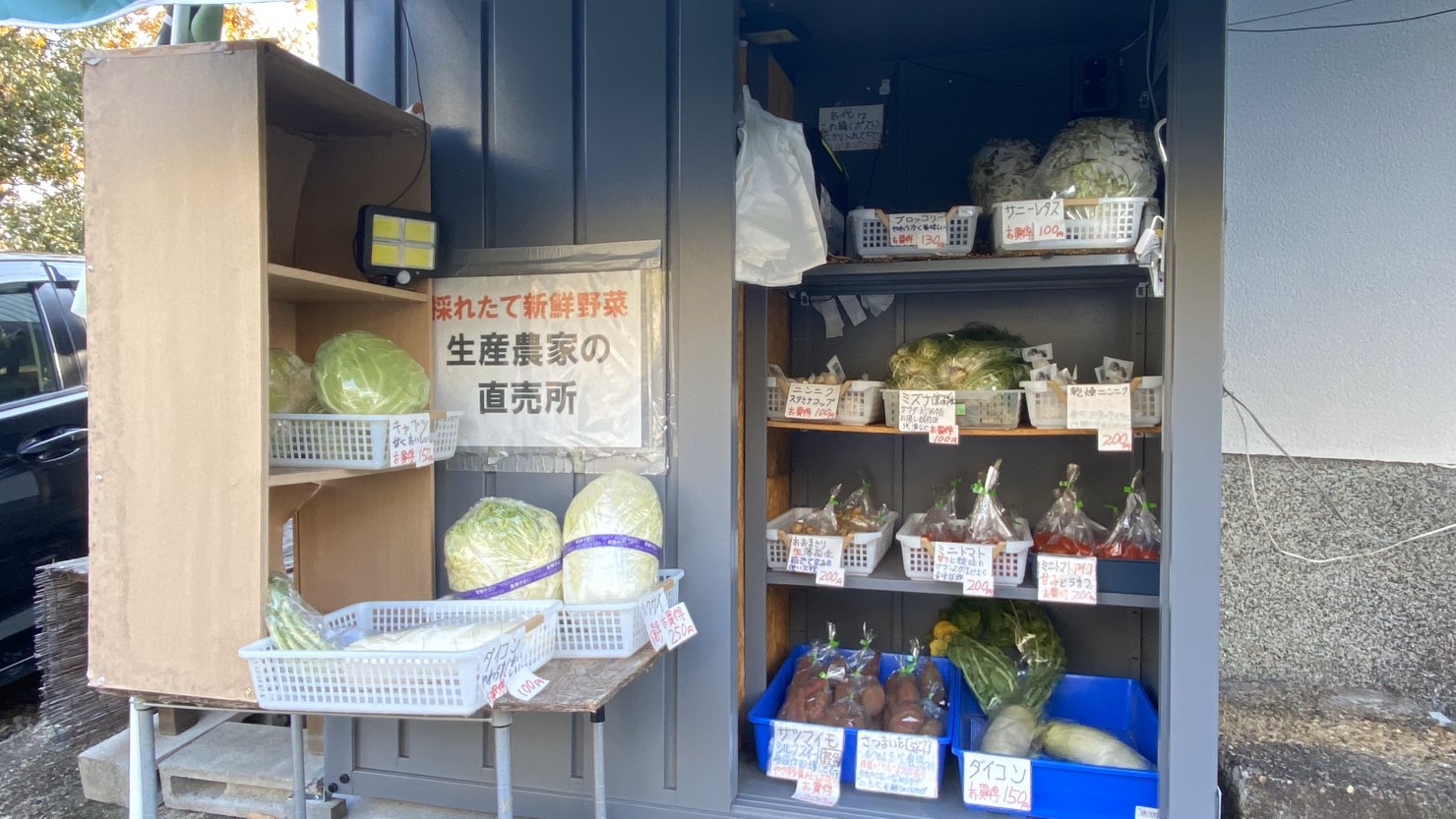 市場に流通させられないB品とはいえ、充分美味しく、新鮮で安い野菜が並ぶ
