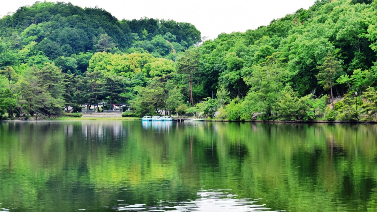 新緑の頃の宝が池公園。かんがい用の溜池として江戸時代中期につくられた大きな池を中心とした公園です