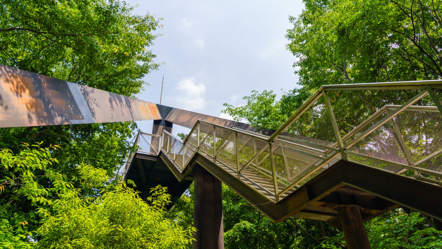 東京都八王子市の自然環境　みなみ野の丘公園
