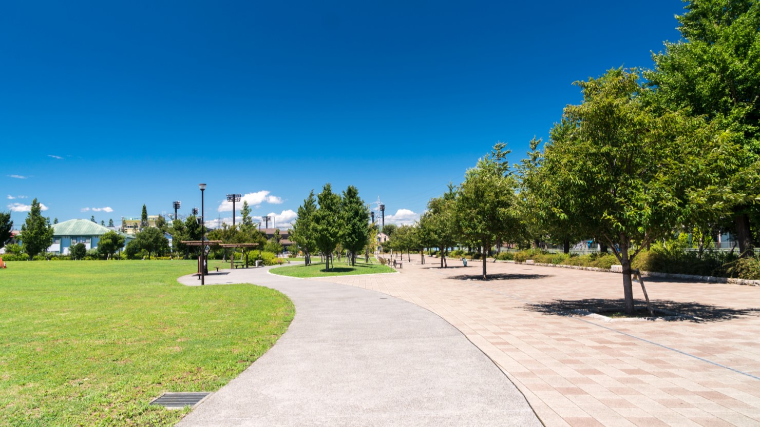 広々とした下高井戸おおぞら公園