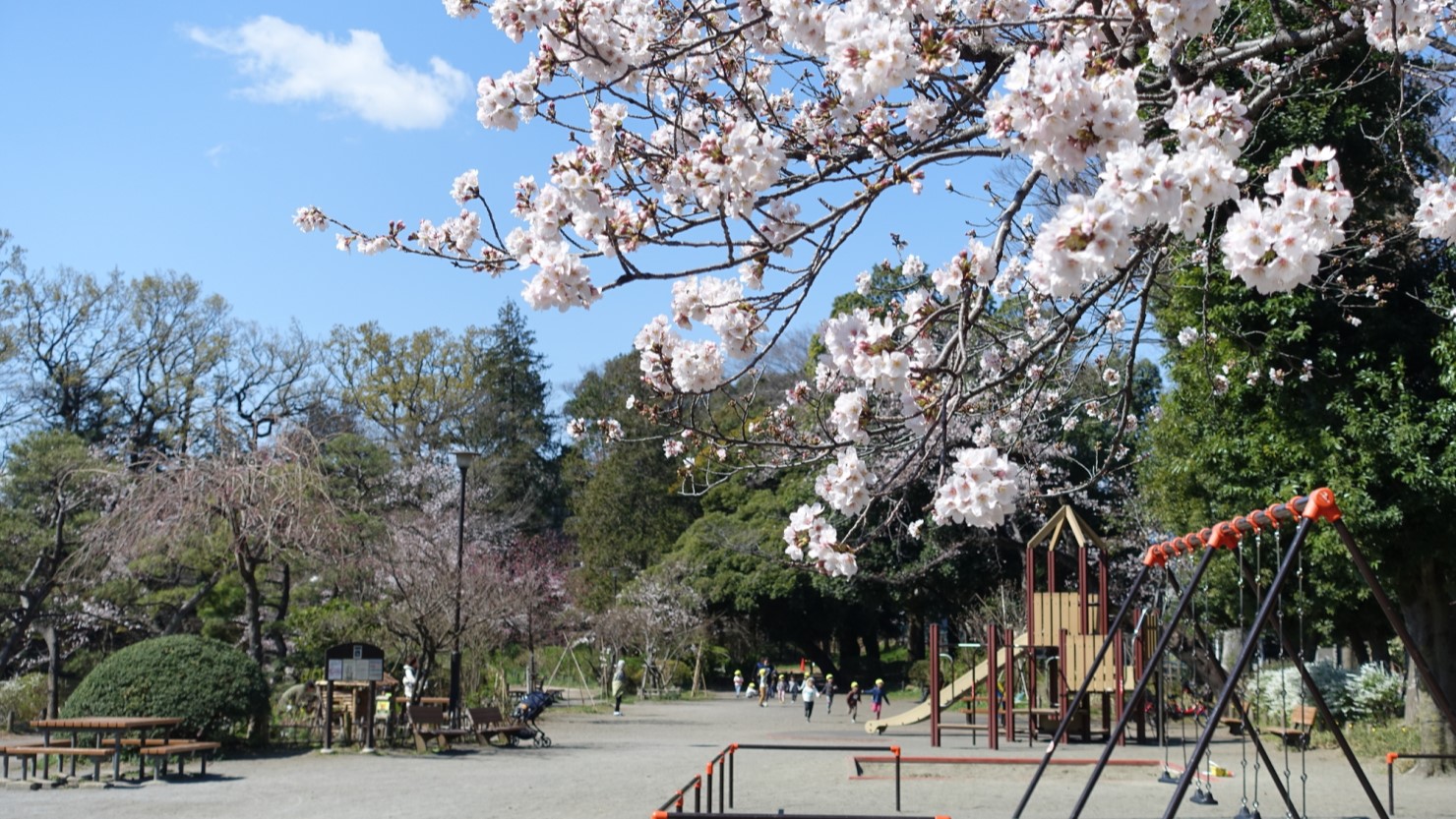 都立善光寺公園