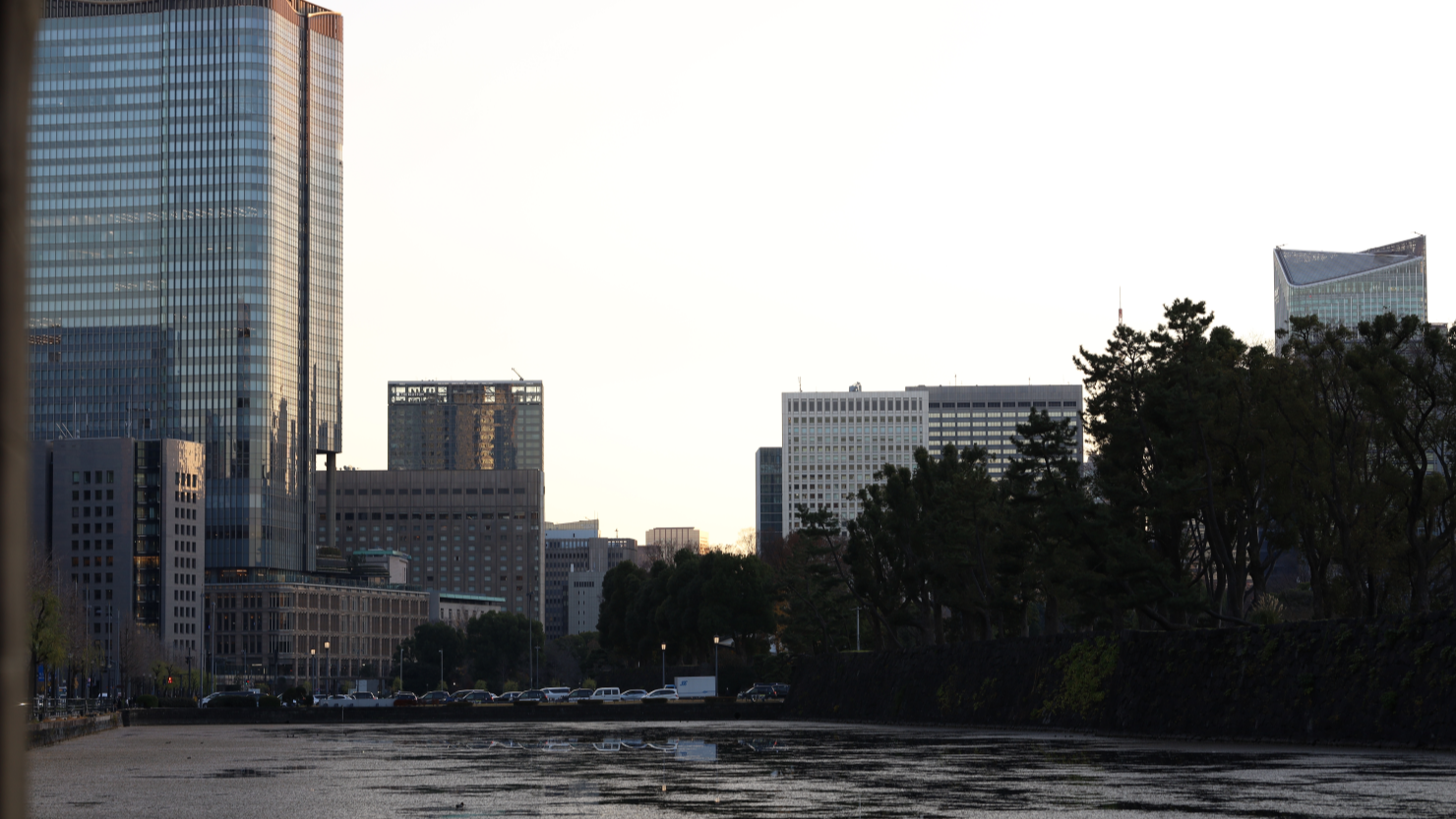 ガゼボから見える景色