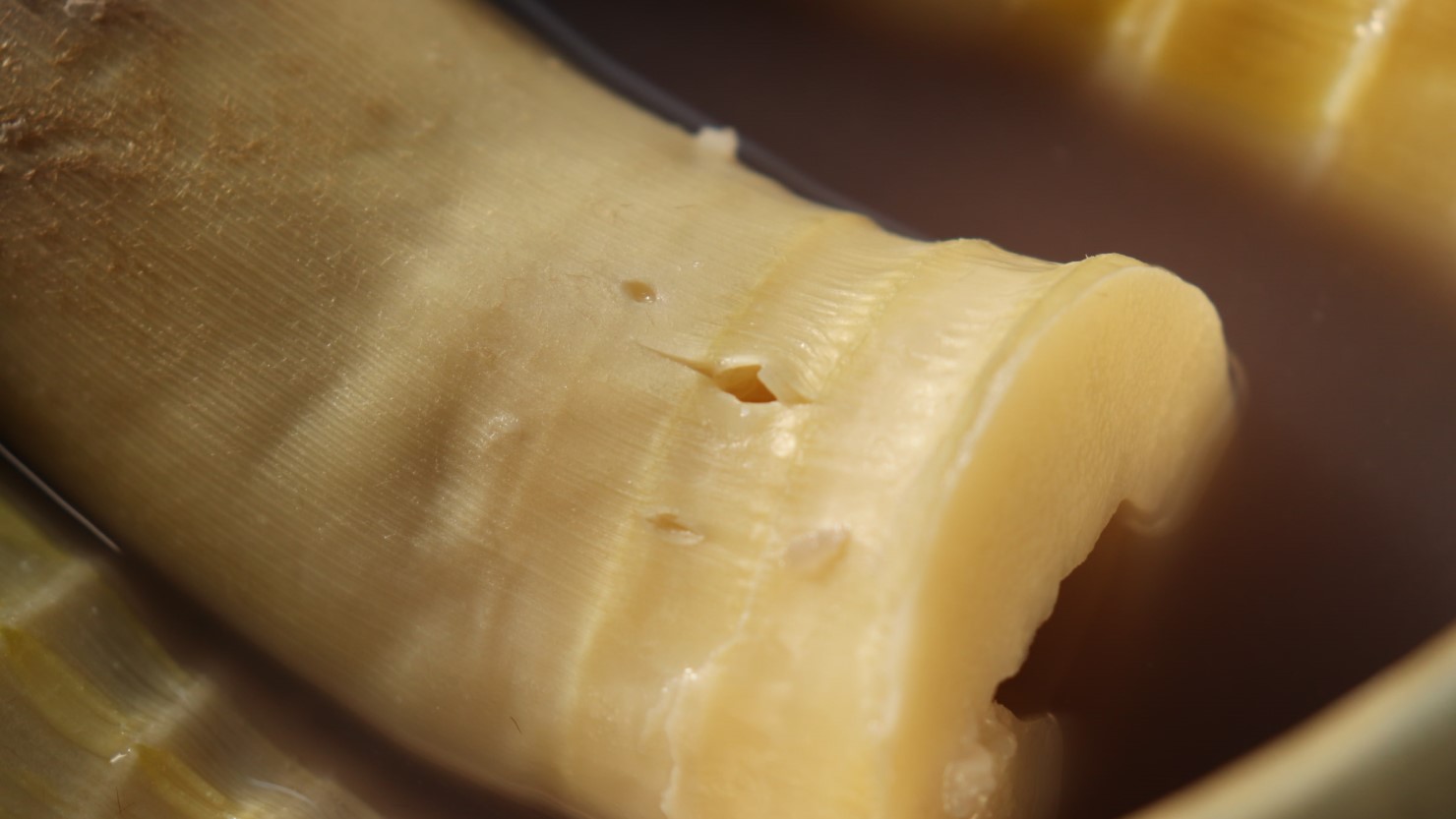 竹串で根元を刺してスッと入ればOK