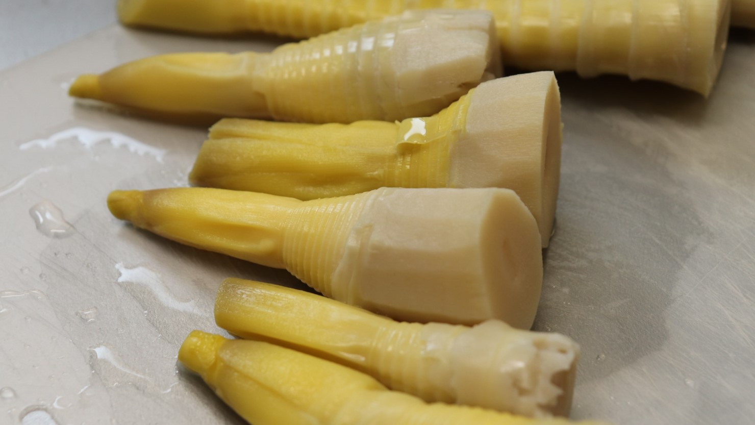 茹だったタケノコ