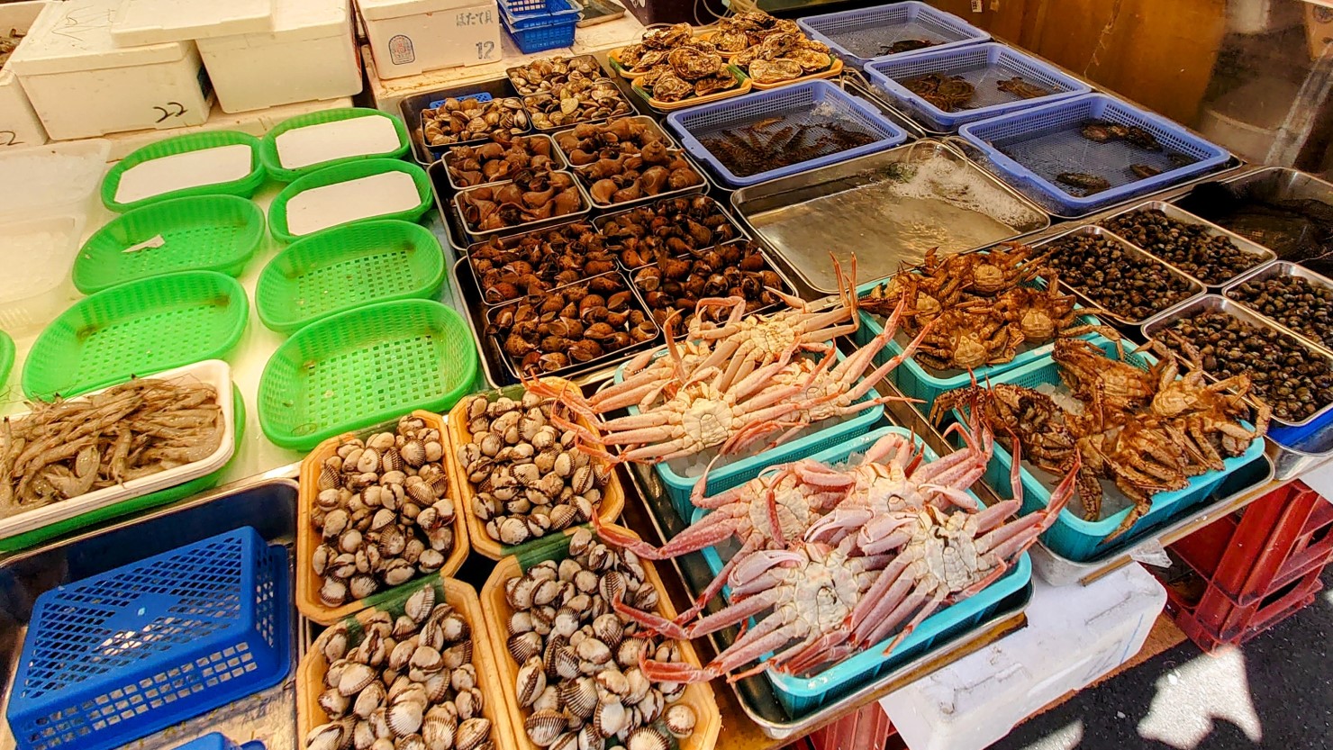 種類豊富な海産物