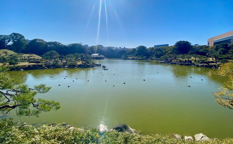 鳥たちと人々が憩う悠久の楽園「清澄庭園(江東区)」-第5回 素晴らしき東京の庭園を歩こう