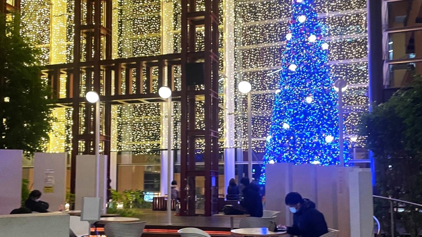 クリスマスシーズンにはガラス一面がライトアップされる　© IKUMI