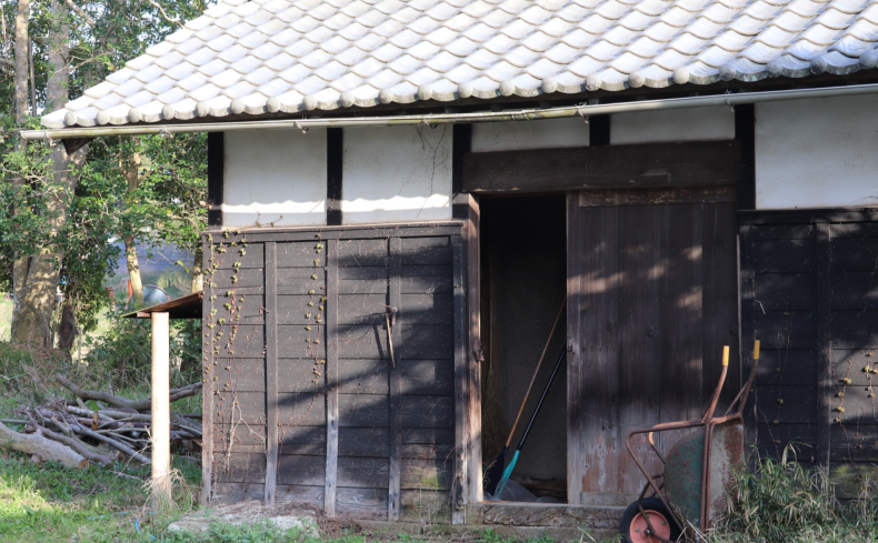 茨城県への移住者が語るリアルな体験談！移住支援やメリット・デメリットも解説