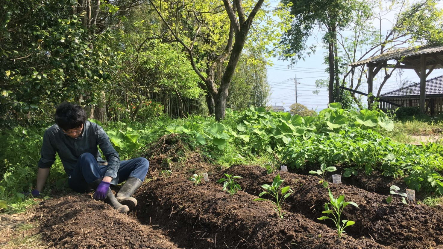 1住宅あたりの敷地面積が全国で第1位のため、庭で広い家庭菜園も可能