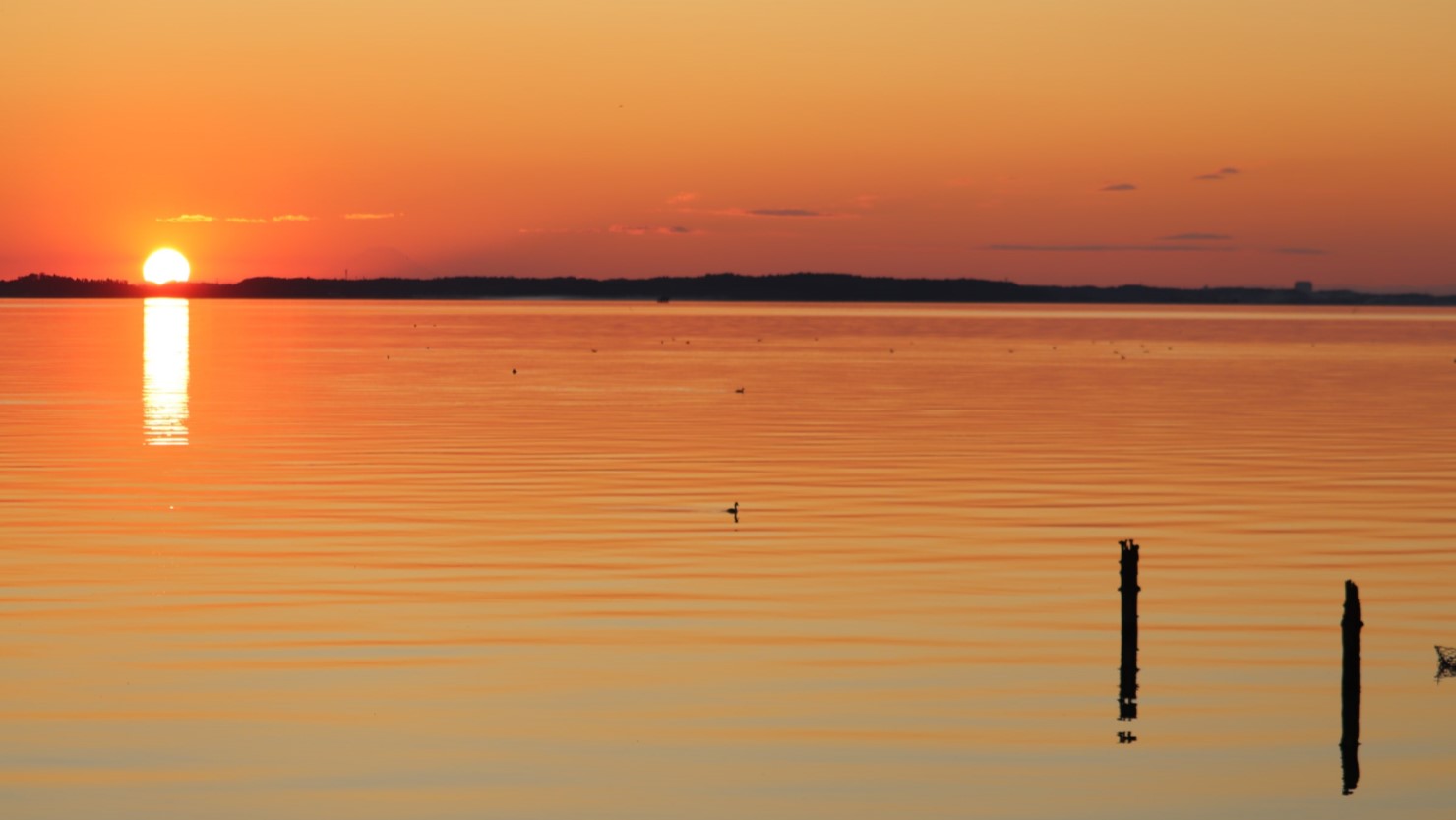 夕日が絶景の霞ヶ浦は、琵琶湖に次いで全国第2位の大きさを誇る
