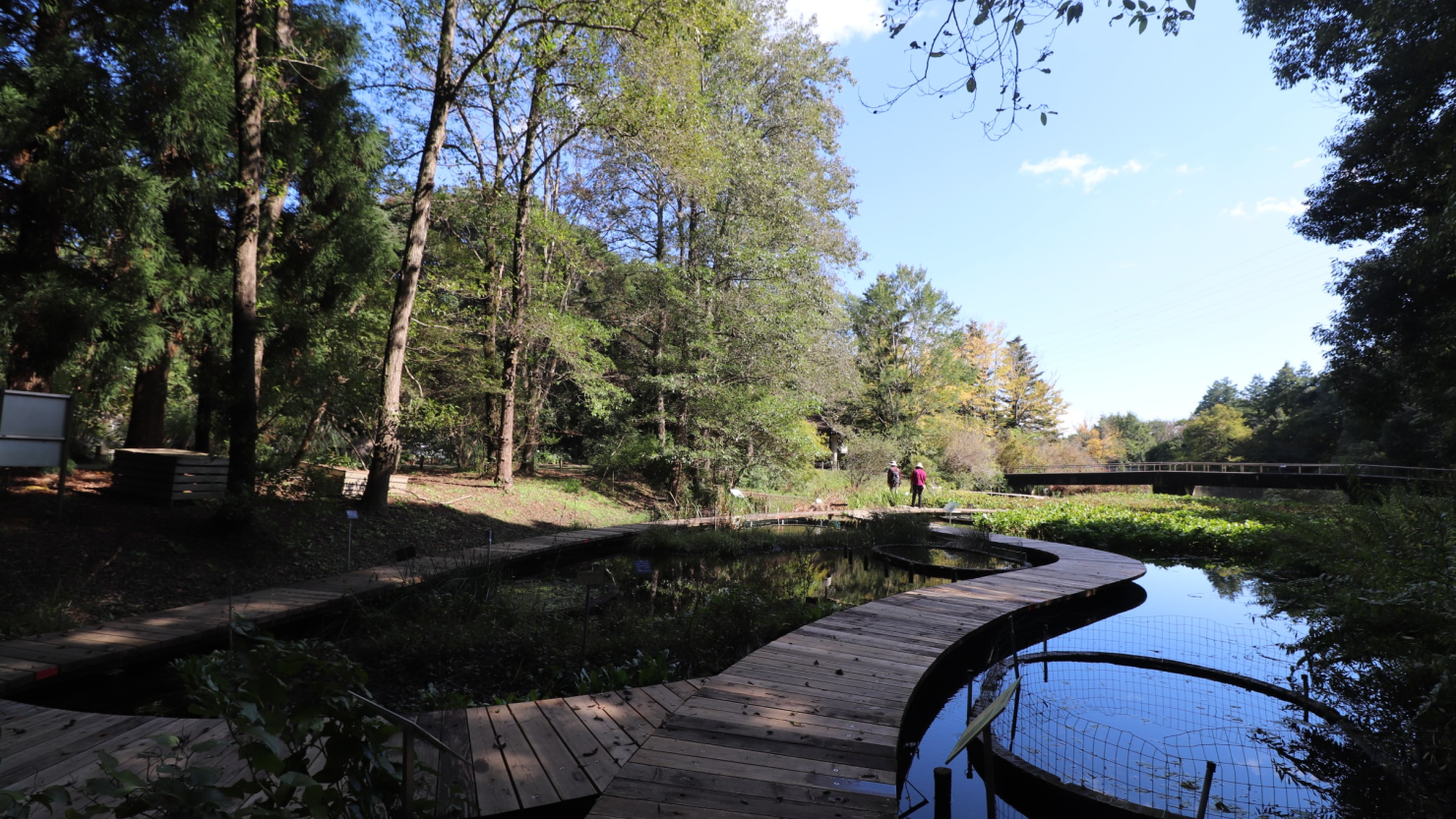 国立科学博物館が植物の研究を推進するために設置した「筑波実験植物園」